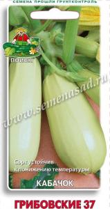 Кабачок Грибовские 37 12шт (Поиск)
