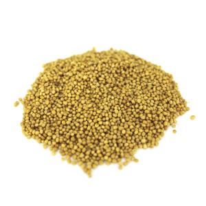 Горчица 40кг -ЗелУ Горчица 40кг -ЗелУ