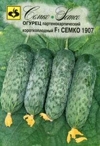 Огурец Семко 1907 F1 корнишон 10шт Парт Ранн (Семко)