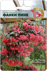 Бегония гибридная Фанки Пинк каскадная F1 10шт (Биотехника)