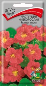 Настурция Розовая вишня низкоросл. 1г Поиск
