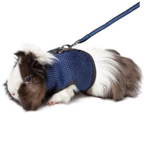 Комплект шлейка и поводок для морской свинки 