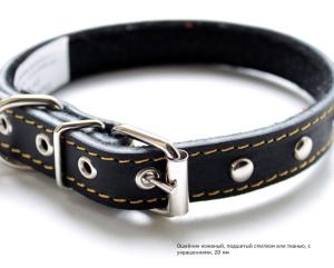 Ошейник д-собак кожаный 20мм подшитый спилком, с двойными украшениями-ОК-20-С-2У