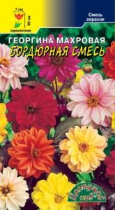 Георгина Бордюрная махровая 0,2г смесь (Цвет сад) Георгина Бордюрная махровая 0,2г смесь (Цвет сад)