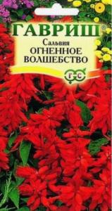 Сальвия Огненный закат сверкающая 0.03г Одн смесь 35см (Цвет сад)