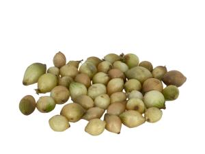 Лук-севок Ледокол (желтый) 9-21 ОЗИМЫЙ 10кг Лук-севок Ледокол (желтый) 9-21 ОЗИМЫЙ 10кг