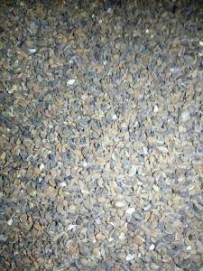 Фацелия 35 кг-МЕДОНОС