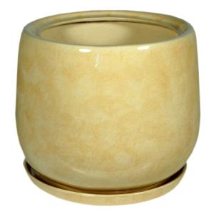 Тюльпан 1 горшок с поддоном 9л d22см беж.