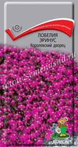 Лобелия Эринус Королевский дворец 0,1г. КУСТОВАЯ Поиск