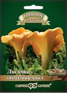 Мицелий Лисички на зерновом субстрате 15 мл (Гавриш)