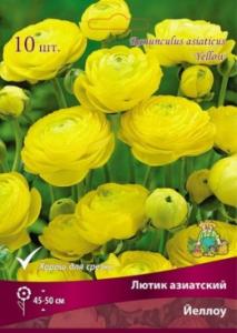 Лютик азиатский Йеллоу 10шт (цветки полумахровые лилово-сиреневые, 7-8)