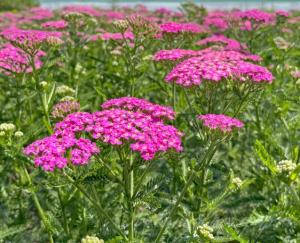 Скриншот 28-11-2023 151456