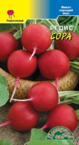 Редис Сора голландия Цвет.сад.