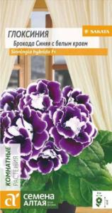 Глоксиния Брокада Синяя с белым краем 8шт (Сем Алт)