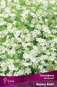 Гипсофила ползучая Филоу Вайт 1шт (20см, белая, аромантная, I) Гипсофила ползучая Филоу Вайт 1шт (20см, белая, аромантная, I)