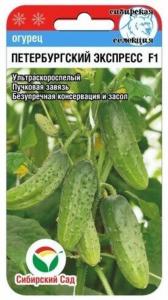 Огурец Петербургский экспресс F1 7шт (Сиб Сад) 