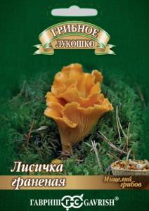 Мицелий Лисичка граненая на зерновом субстрате 15 мл (Гавриш)