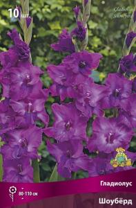 Гладиолус крупноцветковый Шоуберд 10шт (ярко-сиреневый, 10-12)