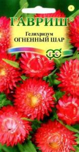 Гелихризум Огненный шар 0,1г Одн 70см (Гавриш)