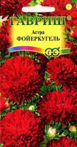 Астра Фойеркугель,красная карлик.0,3г.Гавриш