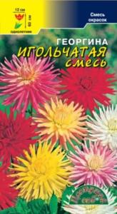 Георгина Игольчатая смесь Цвет.Сад