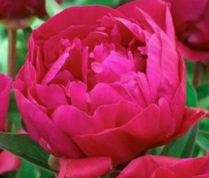 Скриншот 14-04-2026 150032