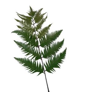 Искусственные цветы Папоротник h180см Искусственные цветы Папоротник h180см