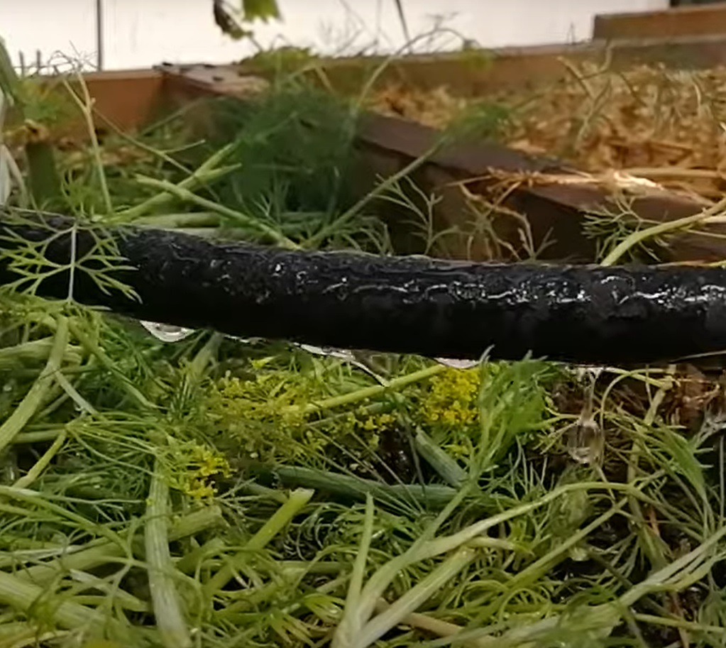 b1e1a309-2bf6-11e6-a5aa-003048de1b8b_super_02