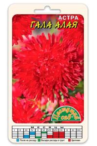 Скриншот 18-01-2024 165251