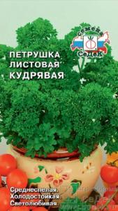 Петрушка Кудрявая (Седек)