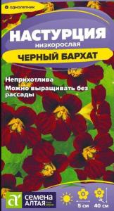 черный бархат