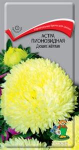 Астра Дюшес желтая пионовидная (ЦВ)(