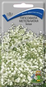 Гипсофила метельчатая Белая (ЦВ) ( Гипсофила метельчатая Белая (ЦВ) (
