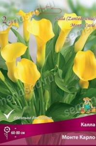 Калла Монте Карло 2шт (насыщенно- желтый) 
