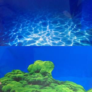 Фон односторонний 60см. Ландшафт из мха (темно-синий)