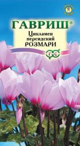 Цикламен Розмари персидский 3шт Комн 20см (Гавриш)