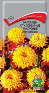 Бархатцы откл.Желтая головка 0,4г.Поиск