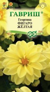 Георгина Фигаро желтая 7шт Одн смесь 30см (Гавриш)