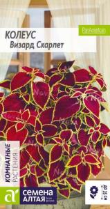 Колеус Визард Скарлет 5шт Комн 35см (Сем Алт)