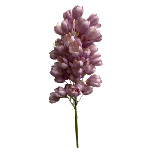 1 1
