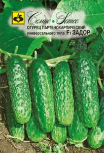 Огурец Задор F1 Семко