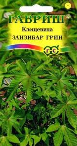 Клещевина Занзибар Грин 5шт. Гавриш