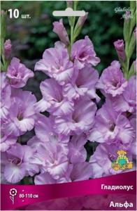 Гладиолус Альфа 10шт 10-12