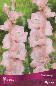 Гладиолус крупноцветковый Луиза 10шт (розово-персиковый, 130см)