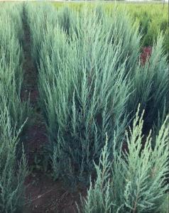 Скриншот 09-11-2023 102100