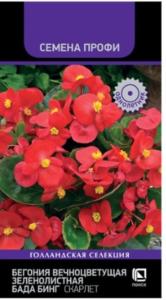 Бегония Бада Бинг Скарлет вечноцвет зеленолистная 15шт (Поиск) Семена профи