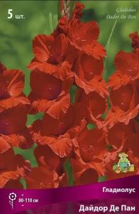 Гладиолус крупноцветковый  Дайдор Де Пан (цвет красно-оранжевый, 5шт, 12-14)