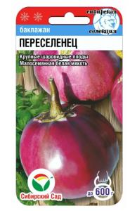 Баклажан Переселенец 20шт (Сиб сад)