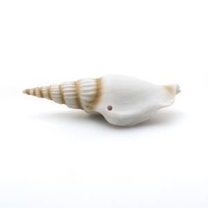 Декорация пластиковая Prime Ракушка спиральная малая 7.5х2.5х2см
