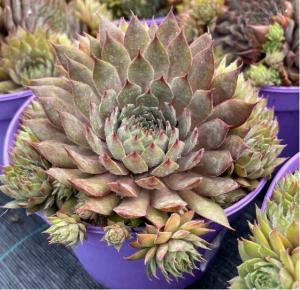 Скриншот 28-11-2023 114644